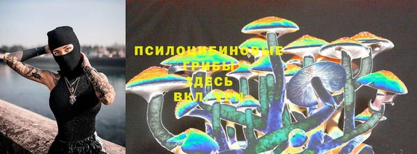 2c-b Богородицк